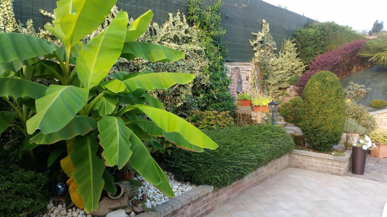 Villa Laura B&B Fossano Exterior photo